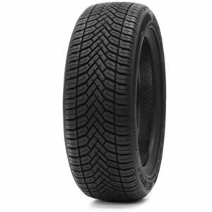 Delinte AW6 205/55 R16 91T