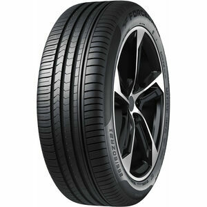 Forceland Vitality F22 205/55 R16 91H