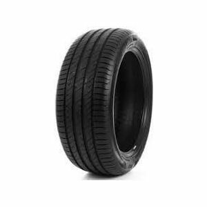 Delinte DS2 205/55 R16 91V