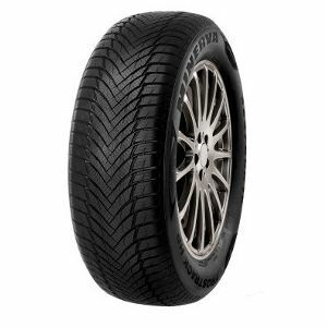Minerva Frostrack HP 205/55 R16 91V