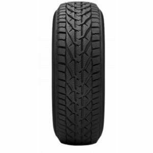 Taurus Winter 205/55 R16 94V