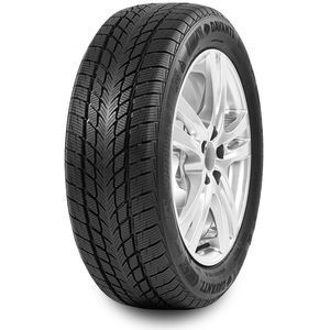 Davanti Wintoura 205/55 R16 94Y
