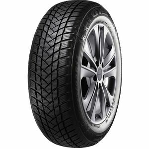 GT-Radial Winterpro 2 EVO 195/65 R15 95T