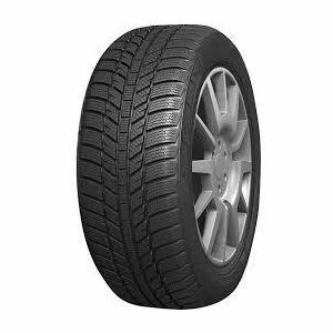 Roadx RX Frost WH01 205/55 R16 91W