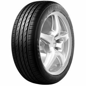 Delinte DH2 205/55 R16 91H