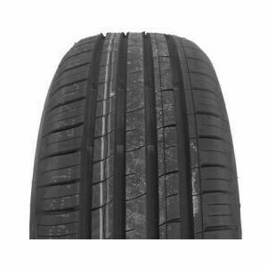 Minerva F209 205/55 R16 91V